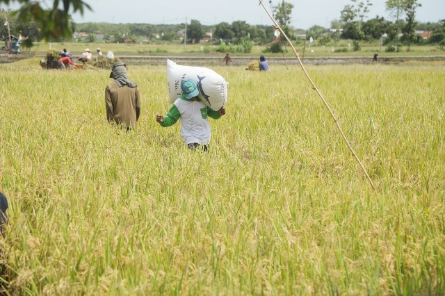 Pupuk Indonesia Libatkan 128 Ribu Petani