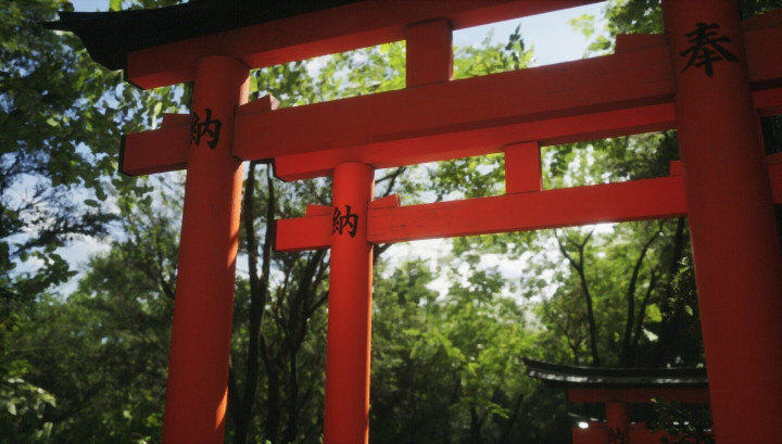 Lushfoil, Game Simulasi Fotografi Digital Realistis