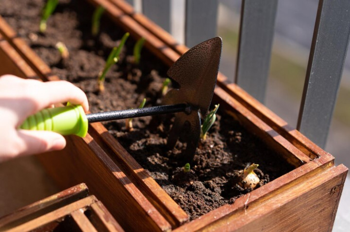 Mau Tanaman Tumbuh Subur? Gunakan Metode Ini