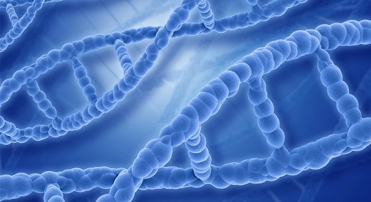 Materi Genetik Adalah: Pengertian, Jenis, Struktur, dan Fungsinya