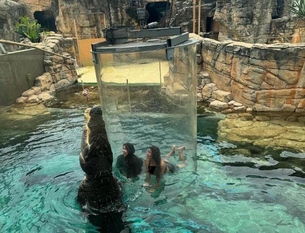 Uji Nyali di Cage of Death, Berenang Bersama Buaya Raksasa di Darwin