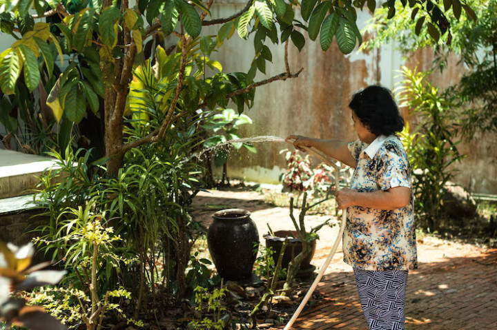 Berapa Jarak Aman Tanam Pohon dari Rumah?