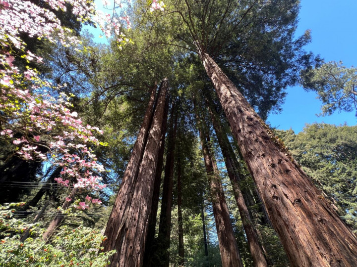 NVIDIA Jawab Tantangan Global Melalui Kecerdasan Buatan