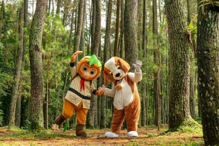 Definisi Staycation Menyehatkan, Ketika Kenyamanan dan Ketenangan Menyatu