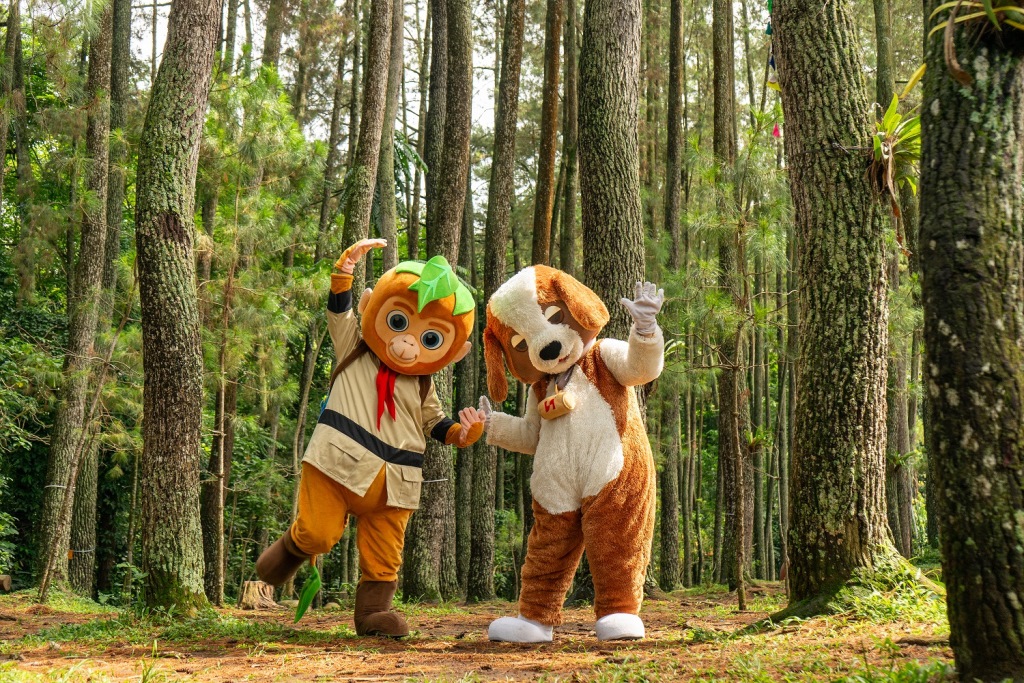Paket Stay and Forest yang khusus dibuat oleh Swiss-Belresort Dago Heritage untuk menawarkan kombinasi akomodasi di hotel resor dengan aktivitas tambahan. Dok. Ist