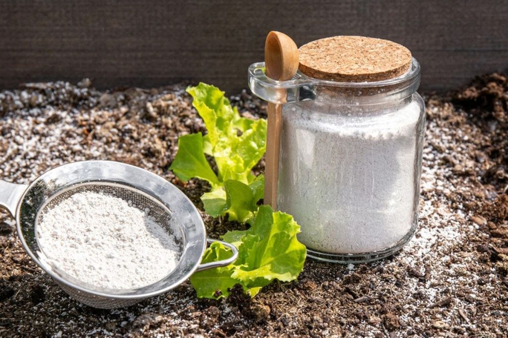 Cara menggunakan tanah diatom. Foto: Shutterstock