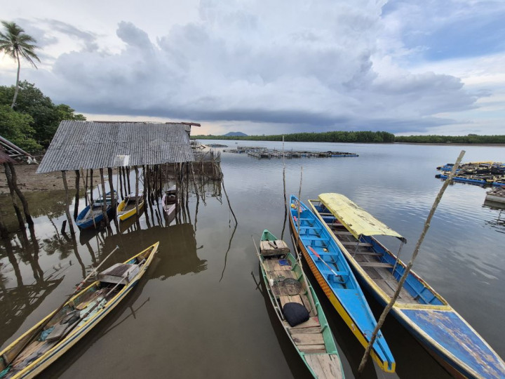 Apakah Perubahan Iklim Berdampak Bagi Stok Ikan di Lautan? Ini Penjelasan Pakar IPB
