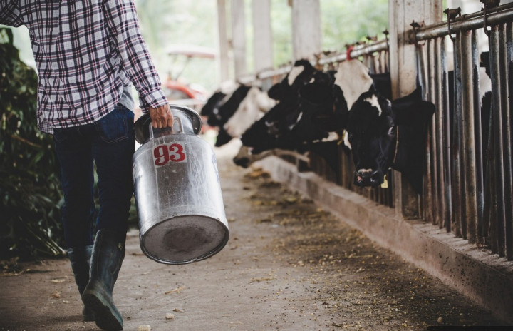 Genjot Vaksinasi PMK demi Menjaga Kesehatan Hewan Ternak