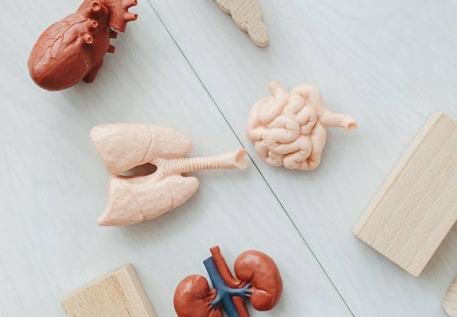 Benarkah Indonesia Dijadikan Kelinci Percobaan Vaksin TBC?