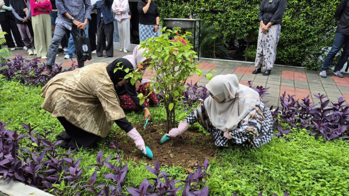 FSRD IKJ Gandeng KEHATI Bangun Laboratorium Pewarna Alam Berbasis Tanaman Lokal