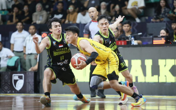 Kesatria Bengawan Solo Susah Payah Atas Borneo Hornbills