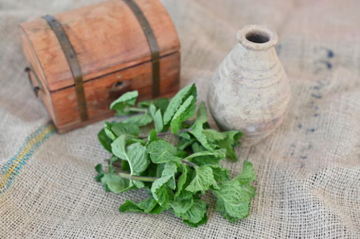 Hemat Belanja, Ini 5 Rempah yang Bisa Ditanam Ulang dari Dapur