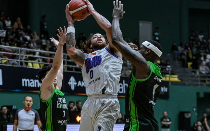 Tangerang Hawks Jinakkan Borneo Hornbills