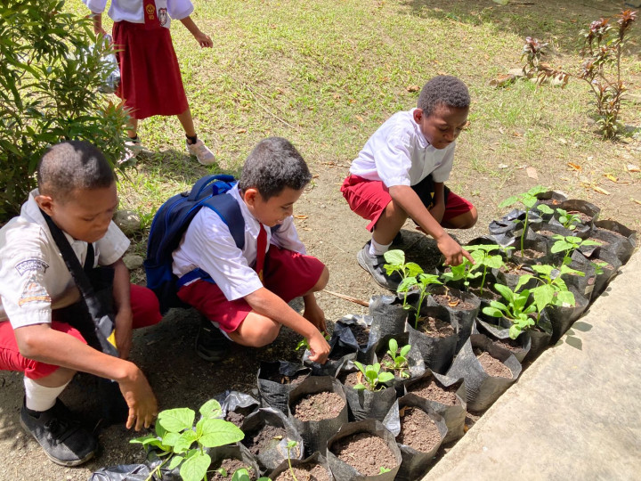 Bergizi dan Berdaya Siswa SD di Sentani dari Sekantung Polybag