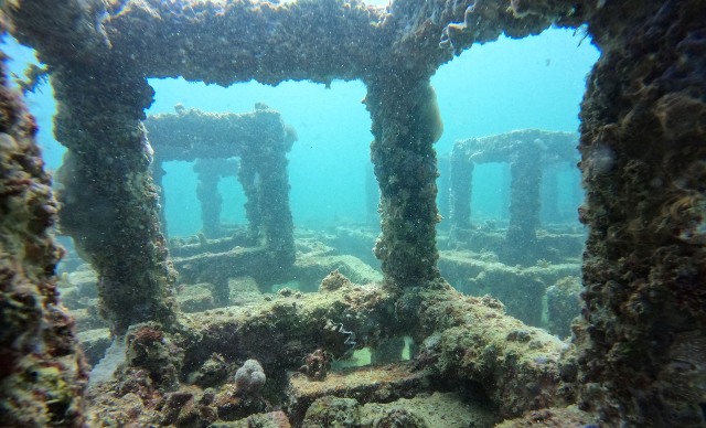 Memanfaatkan Limbah Pembakaran Batu Bara untuk Terumbu Karang Buatan