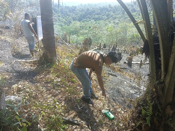 Polres Kuantan Singingi Gerak Cepat Tangkap Pembakar Hutan Lindung
