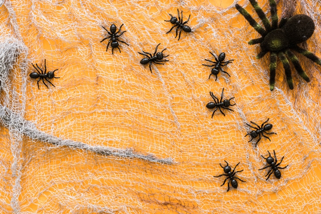 Berita Terpopuler Properti: Cegah Laba-laba Bersarang di Rumah hingga Ruang Tamu Berantakan