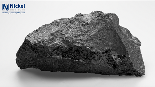 Perusahaan Nikel Bisa Selaras dengan Kelestarian Lingkungan