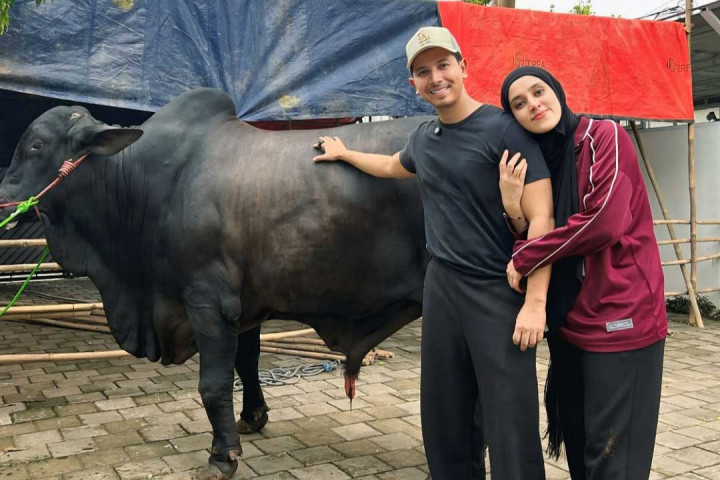 Terinjak Sapi Kurban 1,2 Ton, Fairuz A. Rafiq Dilarikan ke Rumah Sakit