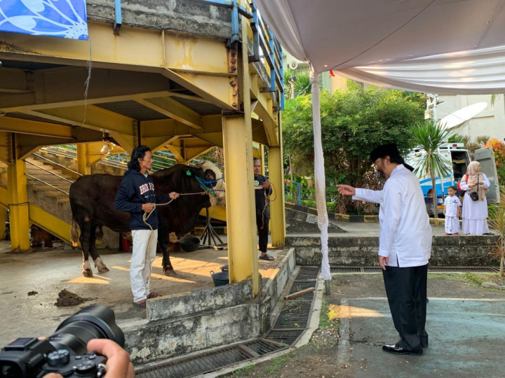 Surya Paloh Serahkan Sapi Kurban di Masjid Nursiah Daud Paloh