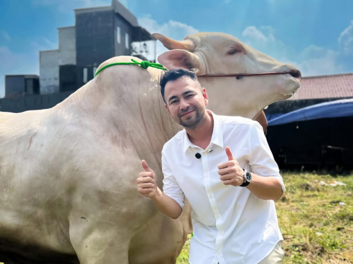 Raffi Ahmad Kurban 22 Ekor Sapi dan 90 Ekor Domba di Iduladha 2025