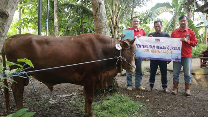 Tebar Berkah Idul Adha, PLTU Cilacap Salurkan 48 Hewan Kurban
