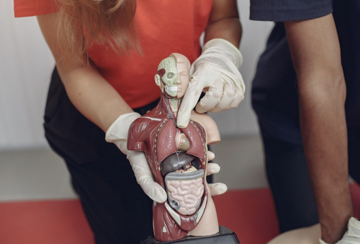 10 Kebiasaan yang Bisa Bikin Usus Lebih Cepat Tua