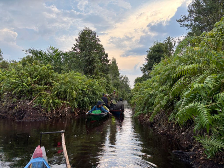 Indonesia Membuka Babak Baru Pasar Karbon Global, CarbonEthics: Kualitas sebagai Kuncinya