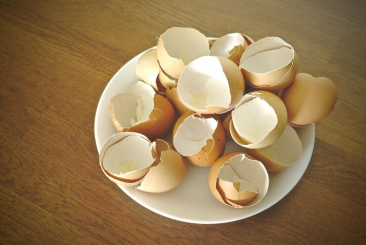 Jangan Buang! Begini Cara Manfaatkan Kulit Telur di Rumah