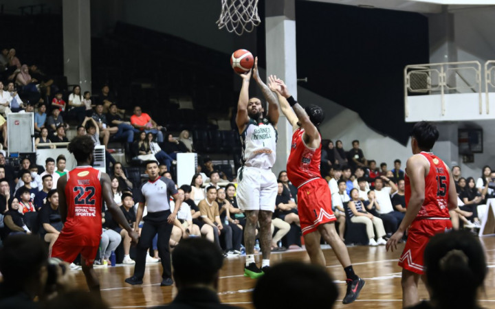 Borneo Hornbills Jinakkan Rajawali Medan