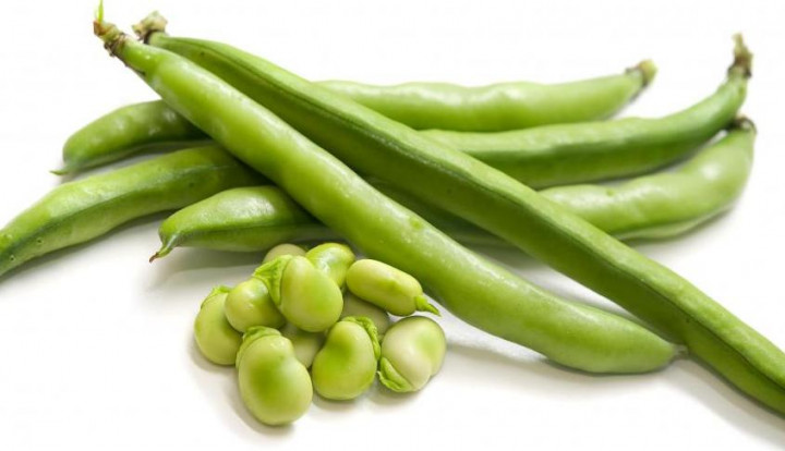 Kacang-Kacangan: Alternatif Sehat Pengganti Daging untuk Vegetarian