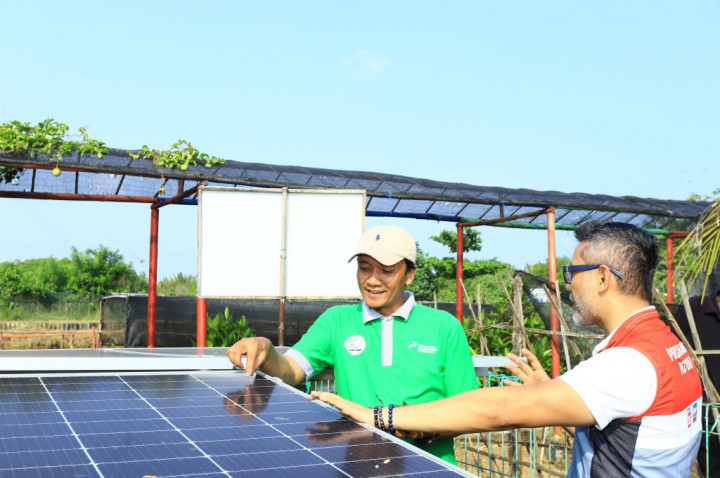 Desa Energi Berdikari Bergaung di Kancah Internasional