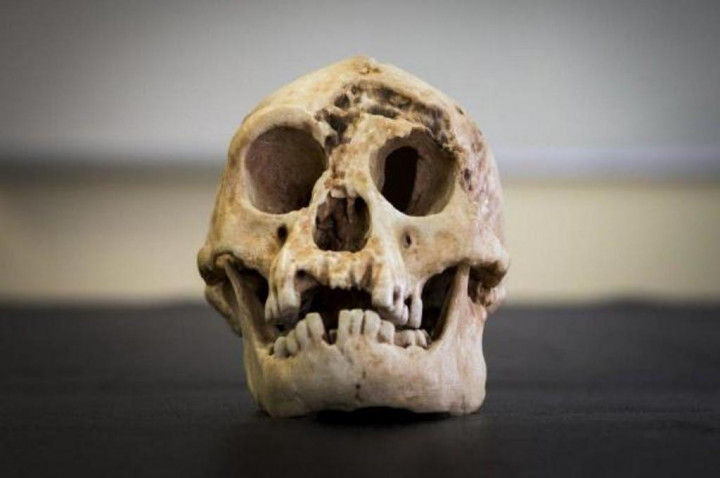 Menguak Jejak Homo Floresiensis, “The Hobbit” dari Liang Bua yang Mengubah Sejarah Evolusi Manusia