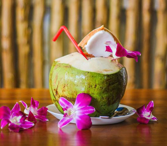 6 Penyakit yang Dapat 'Diredakan' dengan Air Kelapa Muda