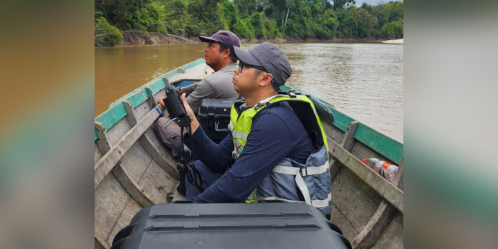 Enggak Cuma Kucing Merah Kalimantan, Peneliti IPB Berhasil Rekam Satwa Langka Musang Air