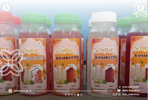 Peneliti BRIN Bikin Kombucha dari Buah Sempur