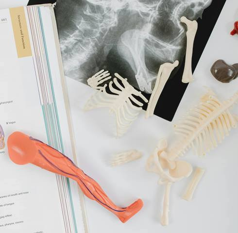 6 Tips Perkuat Lutut dan Sendi untuk Usia 40 Tahun Lebih