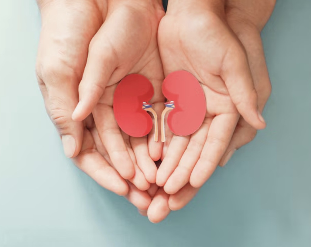 Cuci darah atau dalam bahasa medisnya disebut dialisis, nyatanya berbeda dengan yang dipersiapkan pada pasien transplantasi ginjal. Ilustrasi Freepik