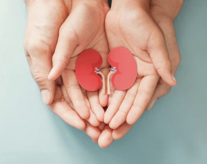 Syarat Menjalani Transplantasi Ginjal, Pasien tak Perlu Menunggu Lama Cuci Darah