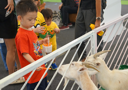 Mini Zoo di Pluit Village. (Foto: Dok. Istimewa)