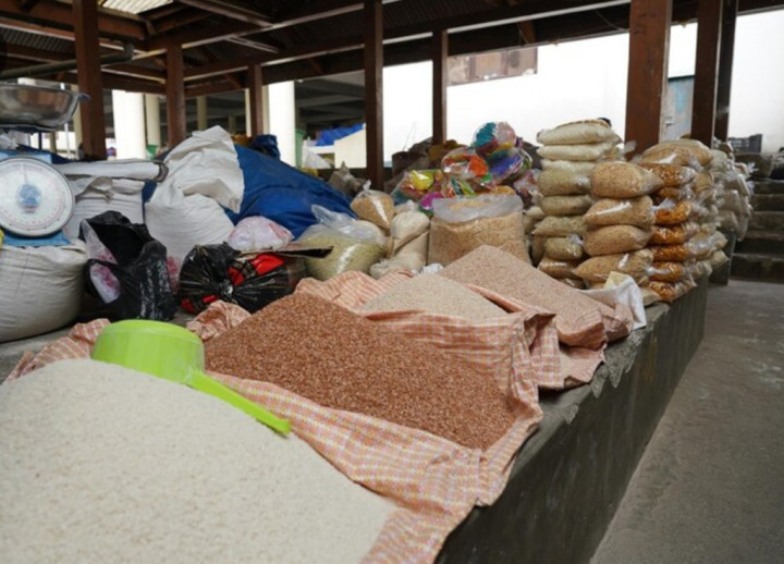 Simak! Cara Membedakan Beras Asli, Palsu, dan Oplosan