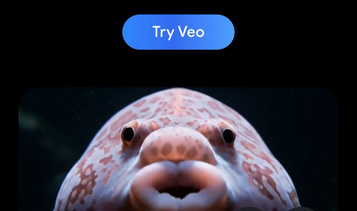 Google Veo 3 Kini Tersedia di Indonesia Tanpa VPN, Ini Cara Menggunakanya