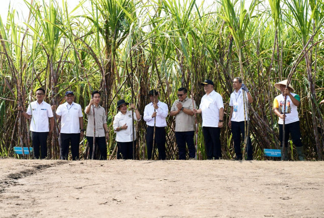 acara Panen Tebu dan Rembuk Tani Bersama Wakil Presiden RI. Foto: Dokumen Pupuk Indonesia