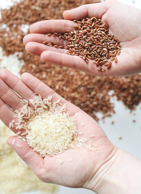 Cara Bedakan Beras Asli dan Oplosan