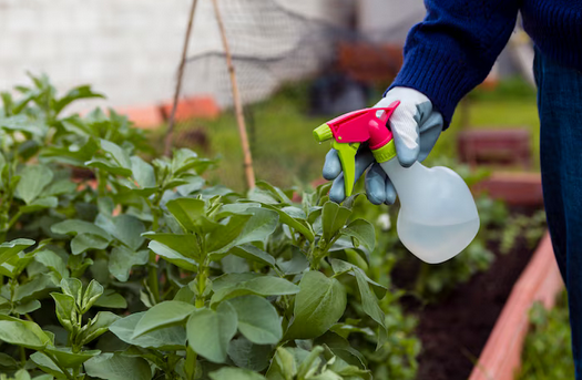 Tanpa Bahan Kimia, Ini 7 Tips Usir Hama dari Kebun Secara Alami