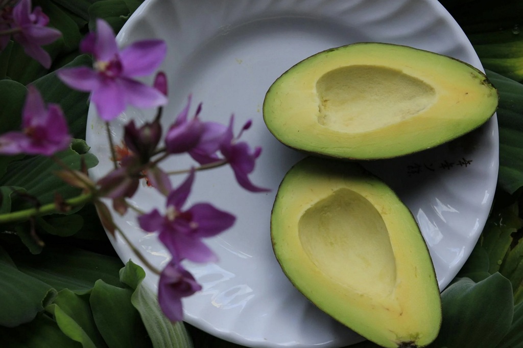 Alpukat mendukung penurunan berat badan jika dikonsumsi secukupnya sebagai bagian dari diet seimbang. Ilustrasi Pexels