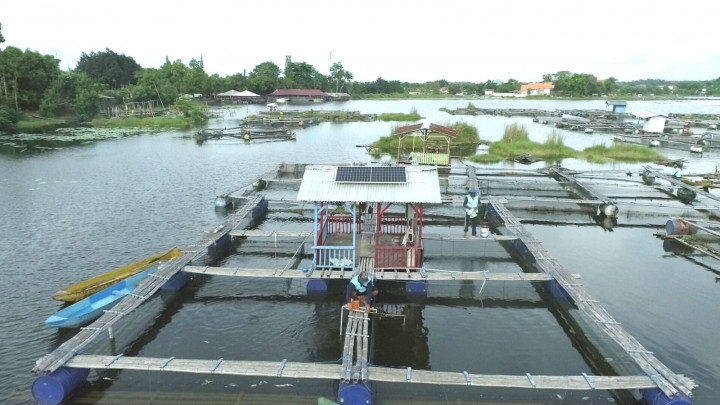 Pakai PLTS di Keramba, PLN IP Naikkan Produktivitas Nelayan
