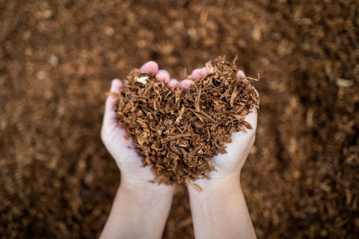 Nojorono Tawarkan Inovasi Intense Smoothness dari Clas Mild Elite