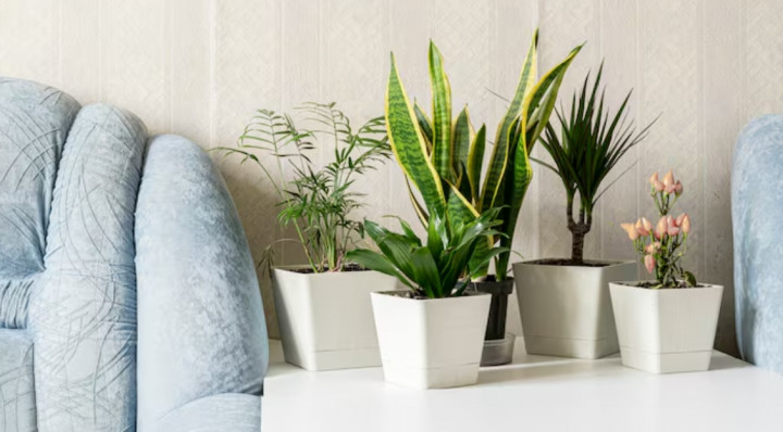 5 Desain Interior Rumah yang Rentan Rusak, Picu Kerugian Besar