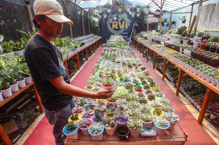 Pemprov DKI Jakarta Gelar Pameran Flora dan Fauna 2025